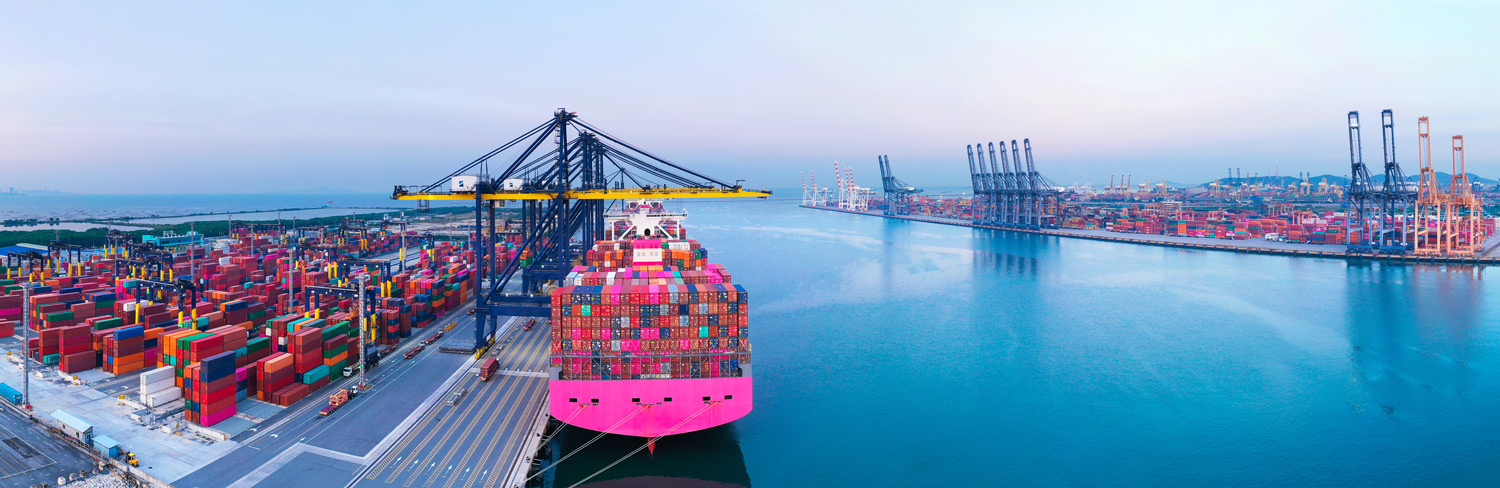 Container ship importing cargo
