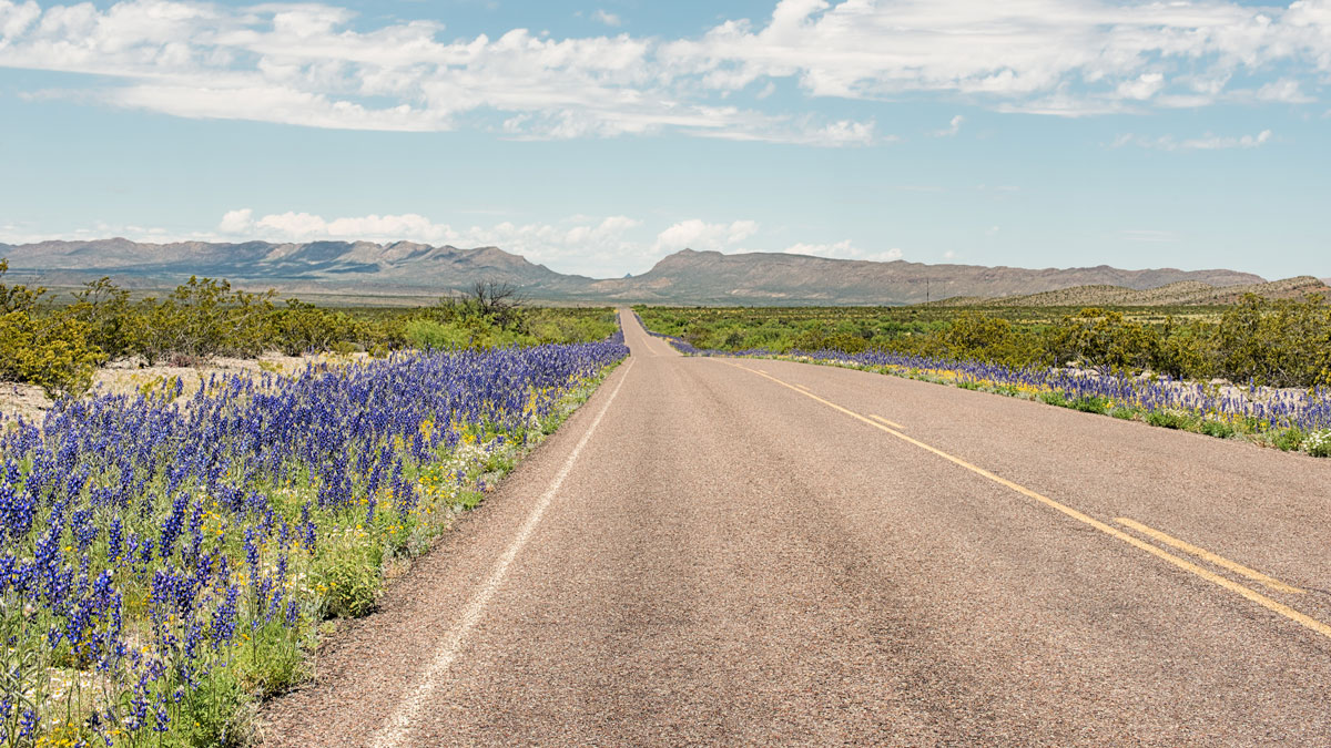 Driving in Big Bend, Texas, with a bonded title