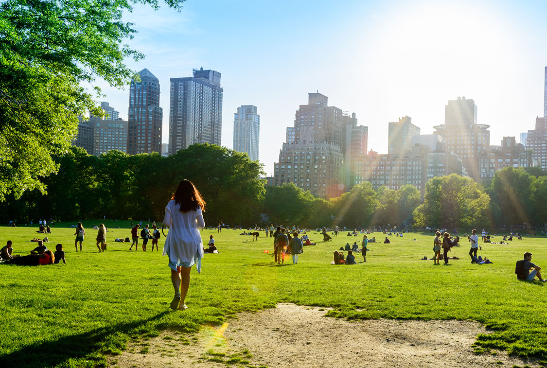 A popular park in New York