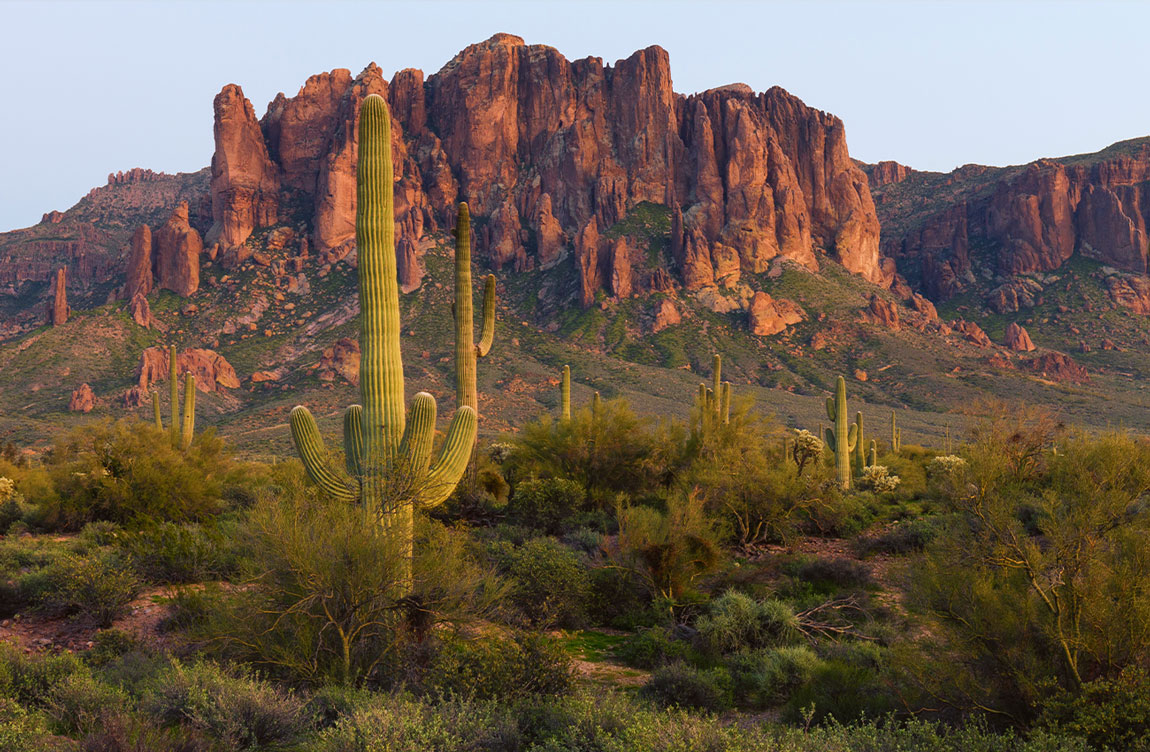 Arizona desert landscape