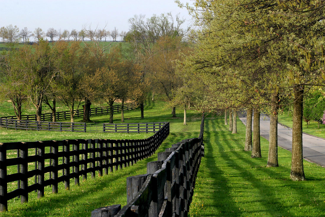 Fence and country lane in Kentucky