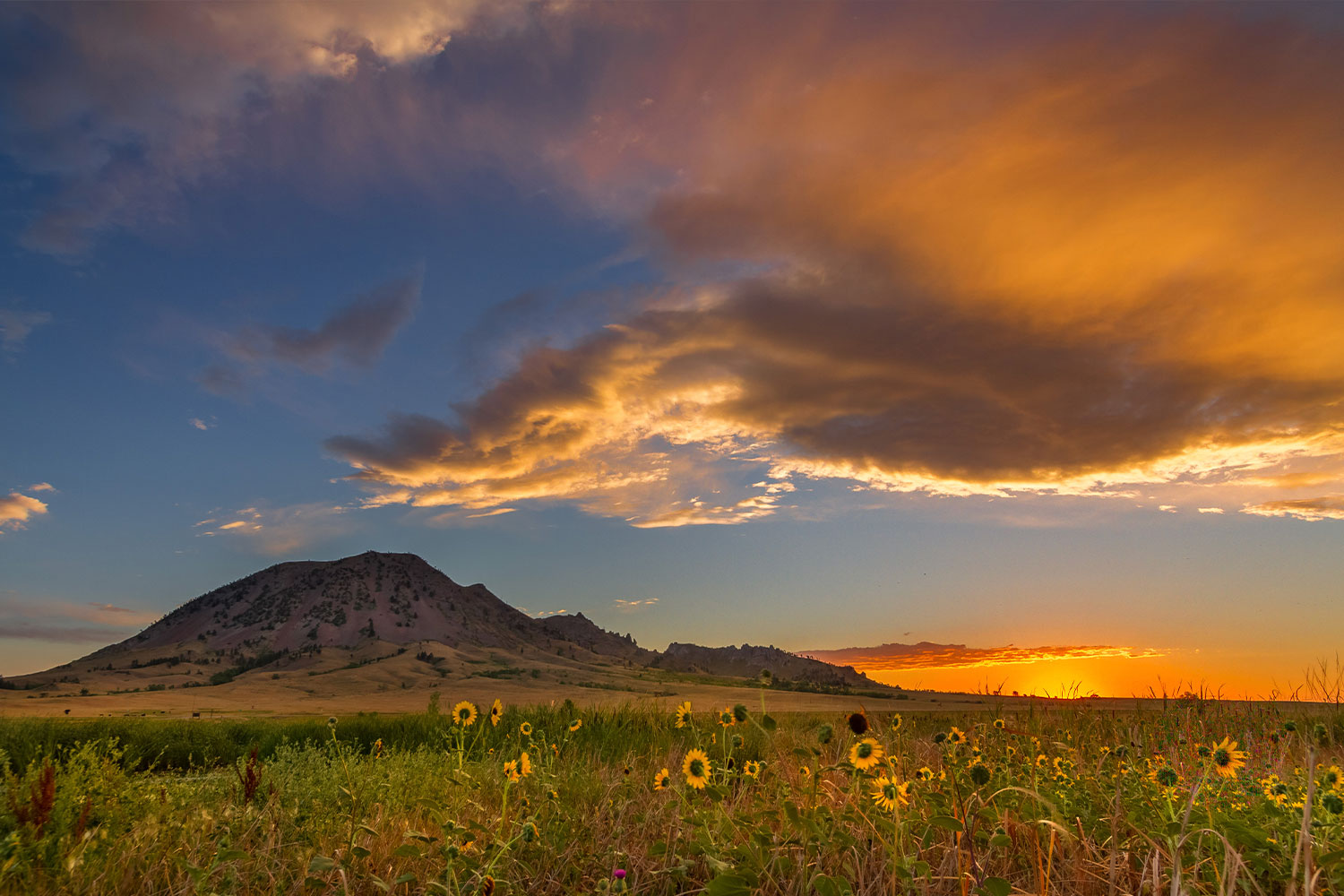 Bear Butte South Dakota landscape at sunset