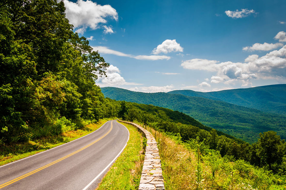 How to a Notary in Virginia ZipBonds