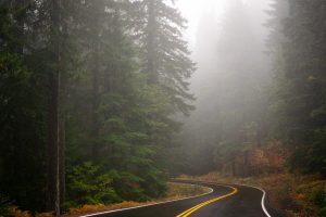 Driving a Washington State forest road