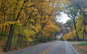 Contractors bid letting in Illinois for road projects