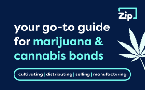 marijuana and cannabis bonds infographic header